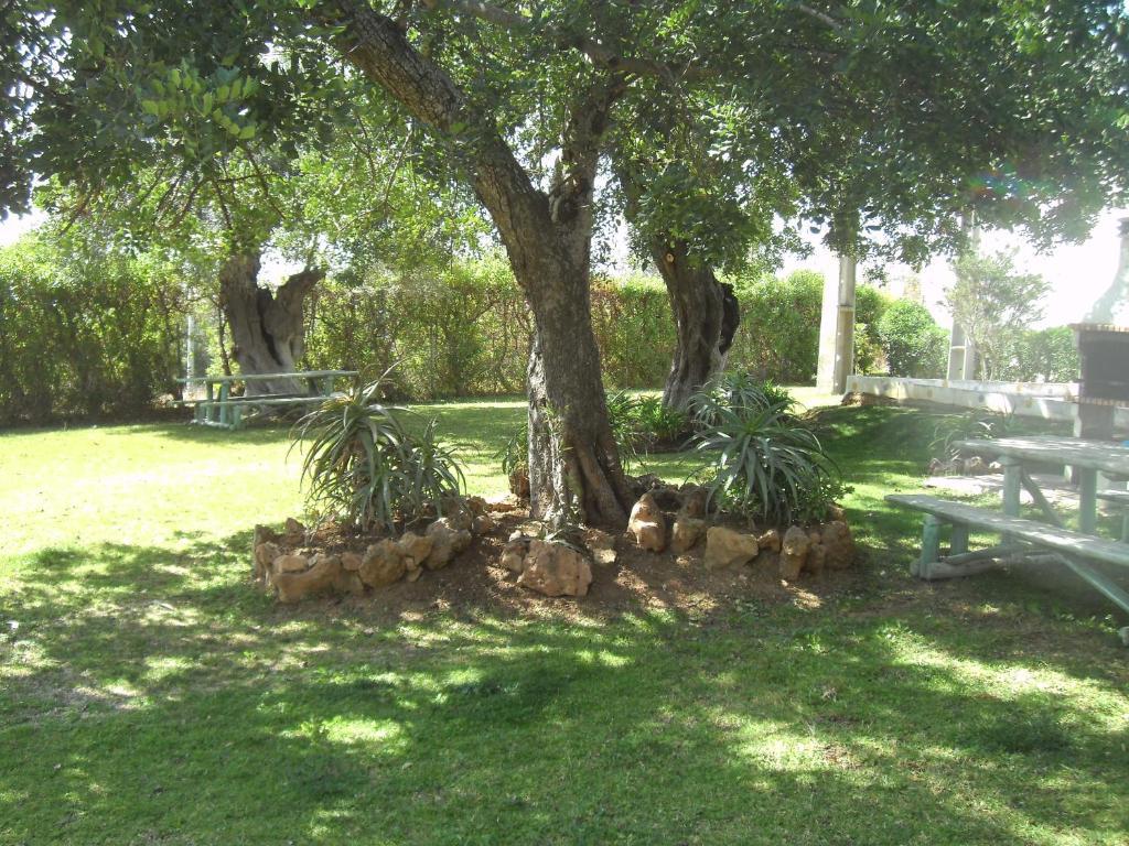 Ferienwohnung Tavira Garden Exterior foto